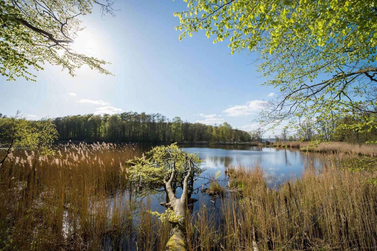 Meer-Studio Glücksburg Buitenkant foto